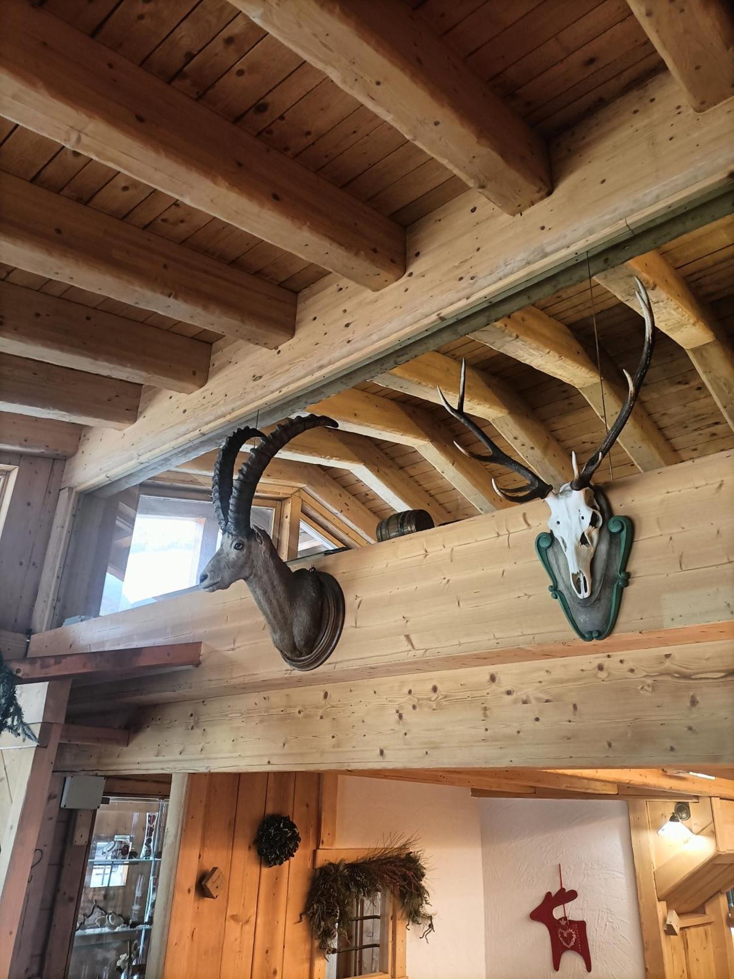 Chalet 1400 Nuova Gestione Limone Piemonte Dış mekan fotoğraf